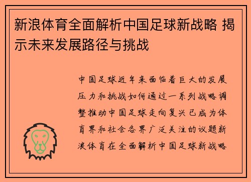 新浪体育全面解析中国足球新战略 揭示未来发展路径与挑战